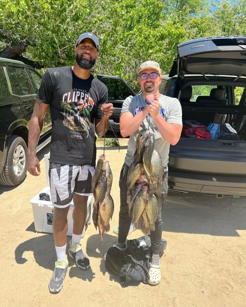 在重回巅峰 在重回巅峰